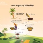 Nolen Jhola Khejur Gur - নলেন ঝোলা খেজুর গুড় - Image 3